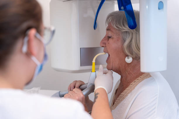 Best Emergency X-Rays and Diagnostics in Elverson, PA